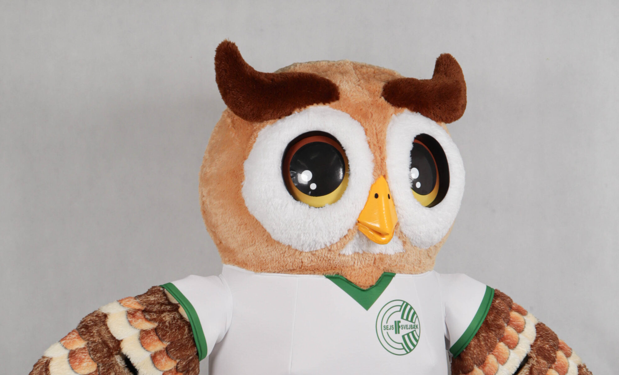 Owl Mascot