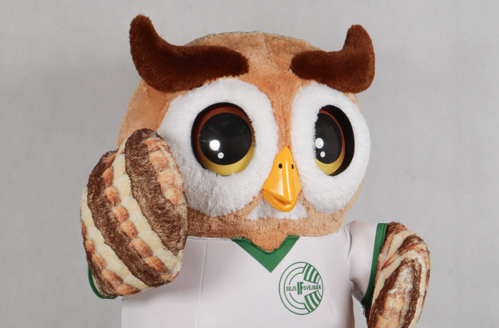 Owl Mascot
